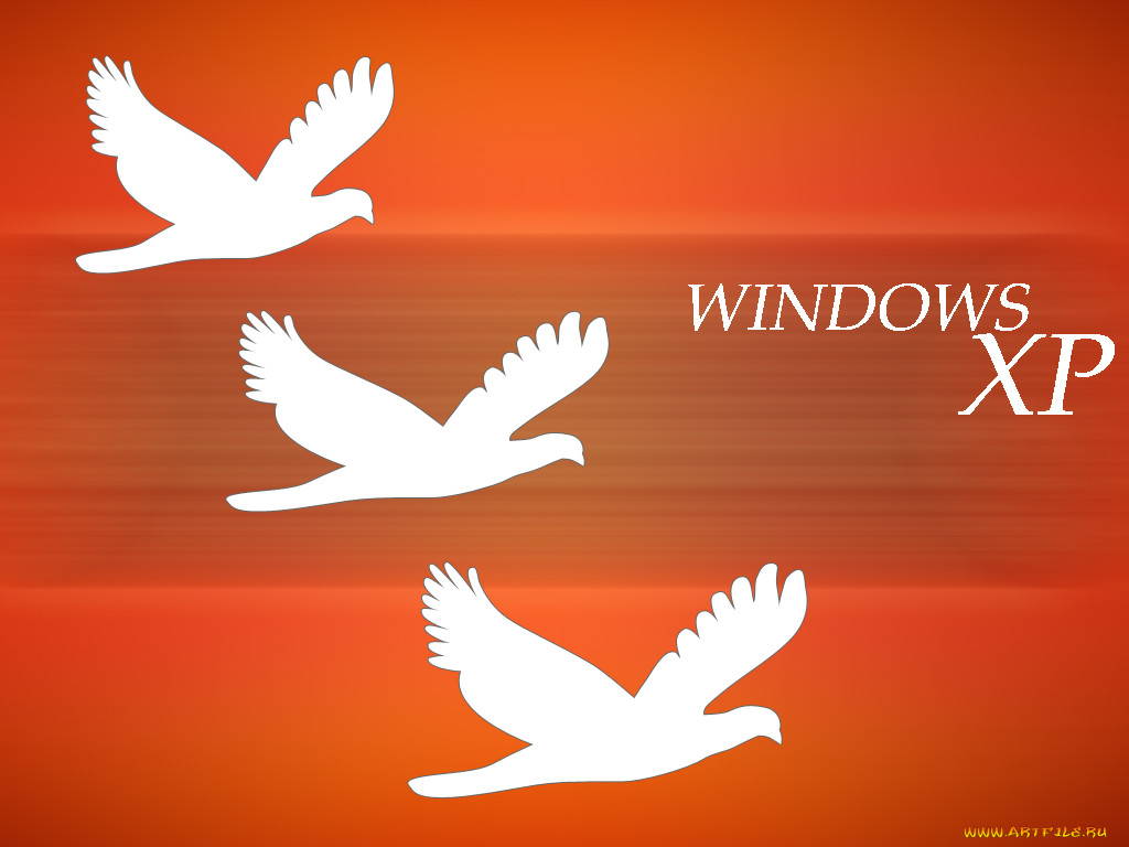 , windows, xp